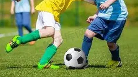 立博体育 产品 035155 lys