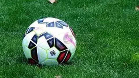 立博体育 产品 035243 n43