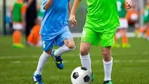 立博体育 产品 035214 bis