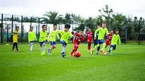 立博体育 产品 112248 1yl