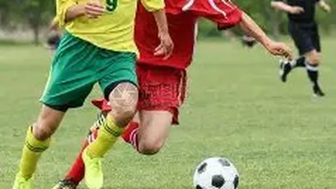 立博体育 产品 112257 0kc