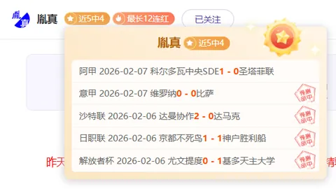 中国冰雪之韵：亚冬会浪漫画卷 新华社镜头下