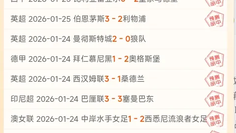 “澳网男双首战：奇臻异宝搭档挺进32强！央视新闻客户端独家报道”